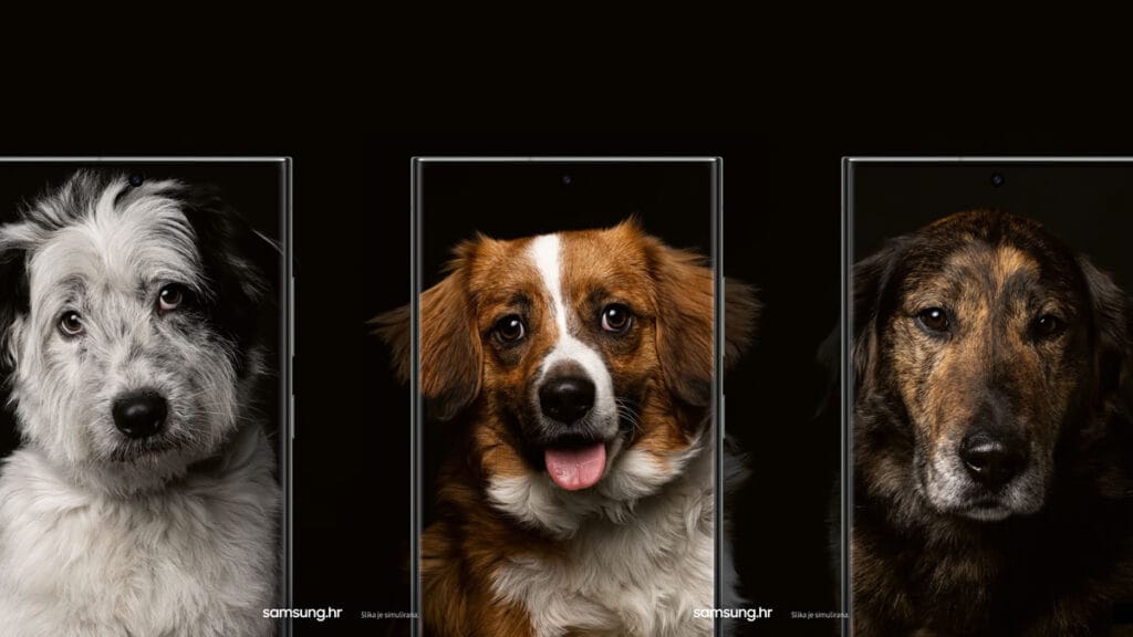 samsung kampanja "vidi više od boje" | napušteni psi | 2023.