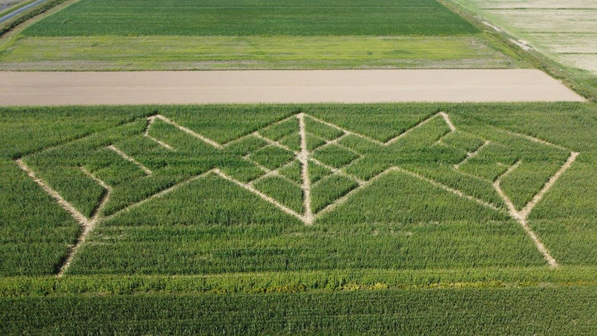 dubrovčak lijevi | kukuruzni labirint hrvatica 2023