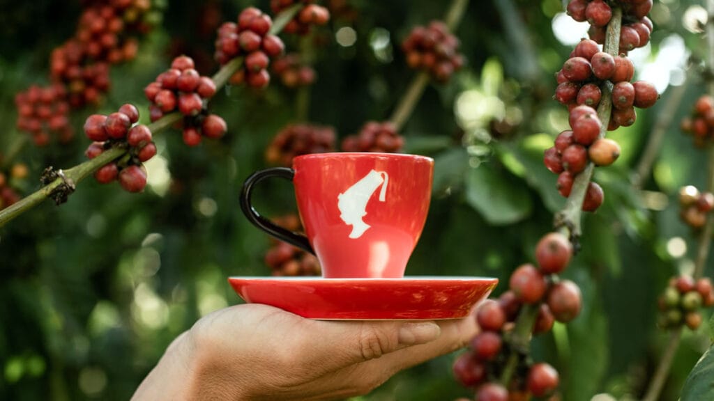julius meinl - šalica kave | 2023.
