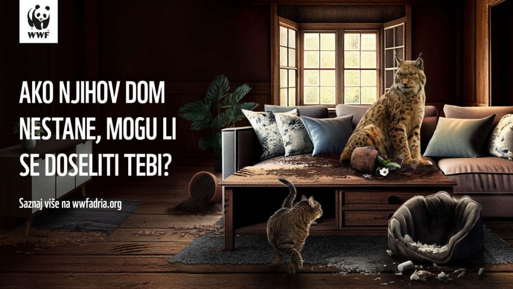 cimeri iz divljine | 2024.
