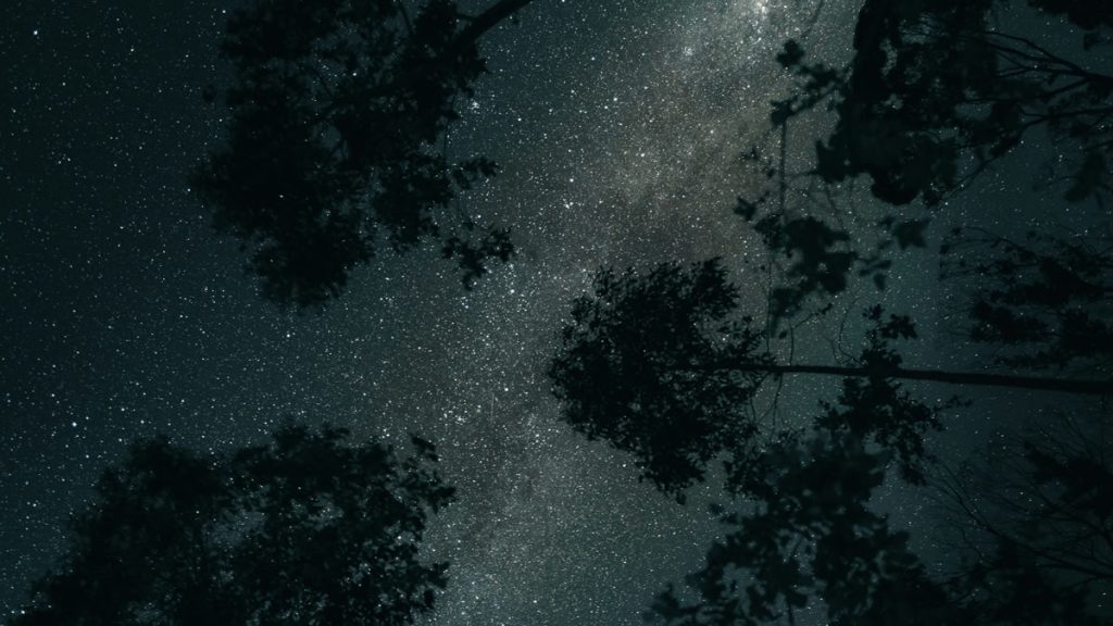 horoskop | 2024.