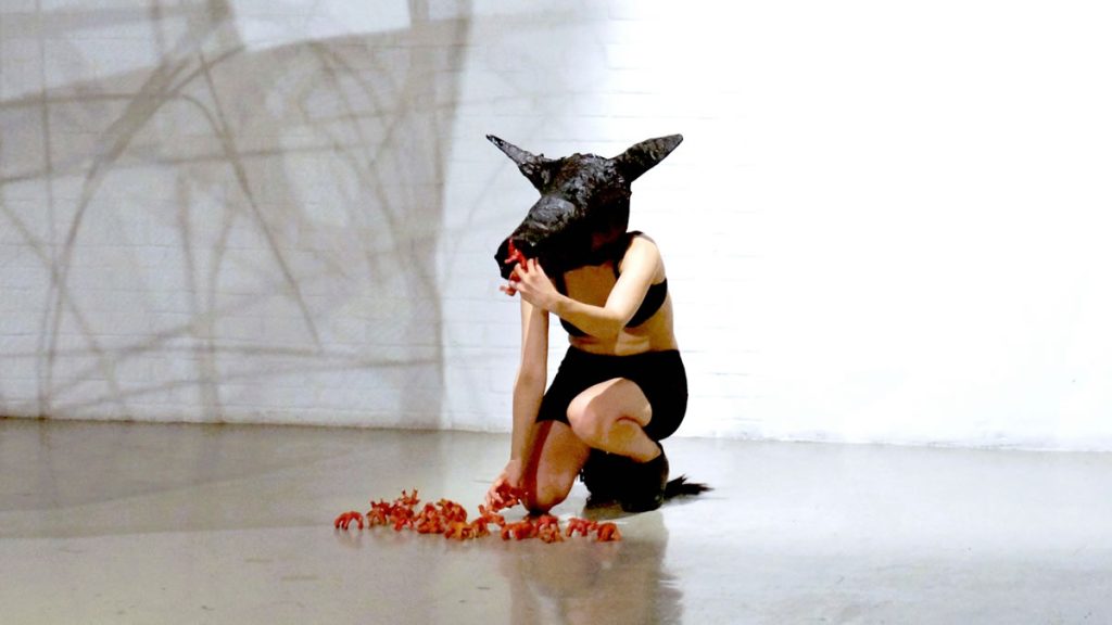 zvijeri / beasts | noa geras | 2024.