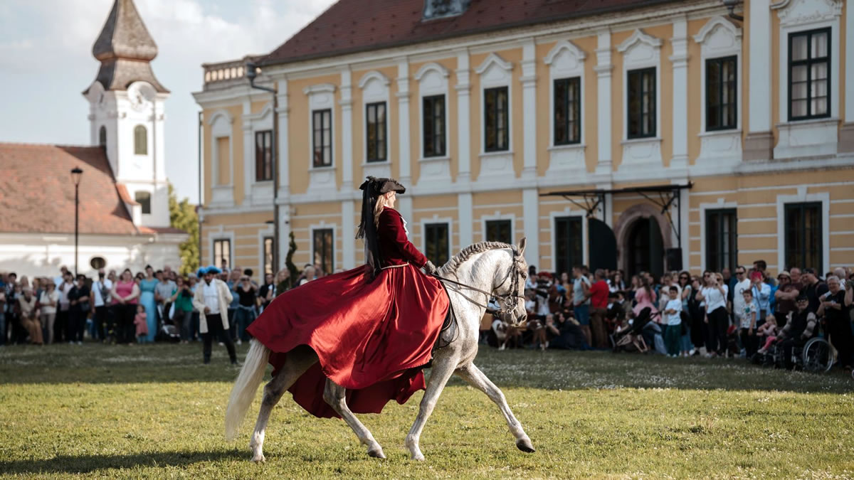 svi zajedno hrvatsko naj 2024 | dvorac eltz vukovar