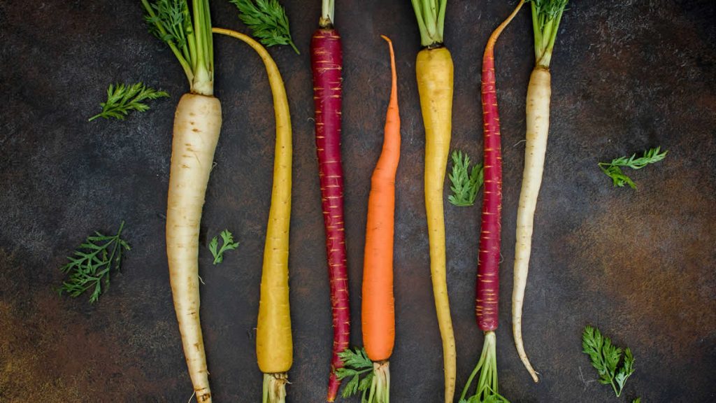 vegetables | 2024.