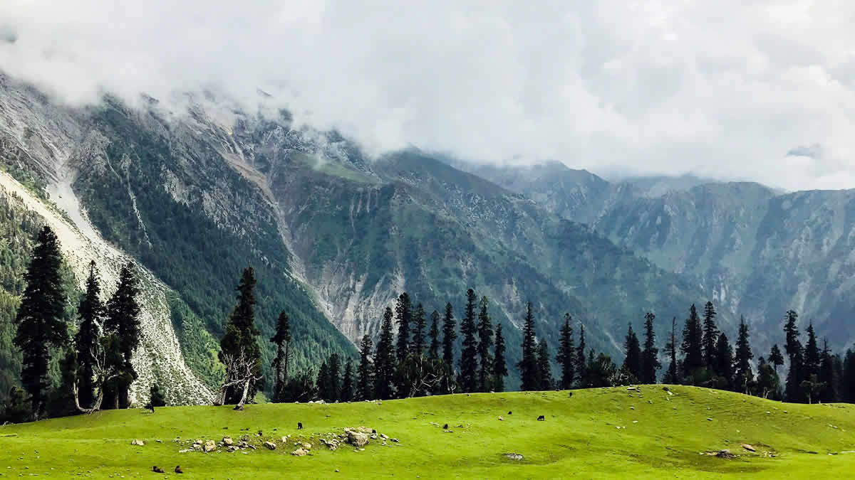 world news | kashmir | 2024.