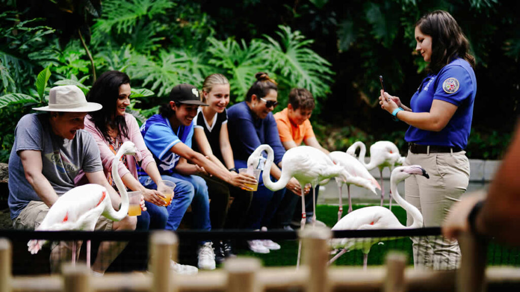 world news | la zoo | 2024.