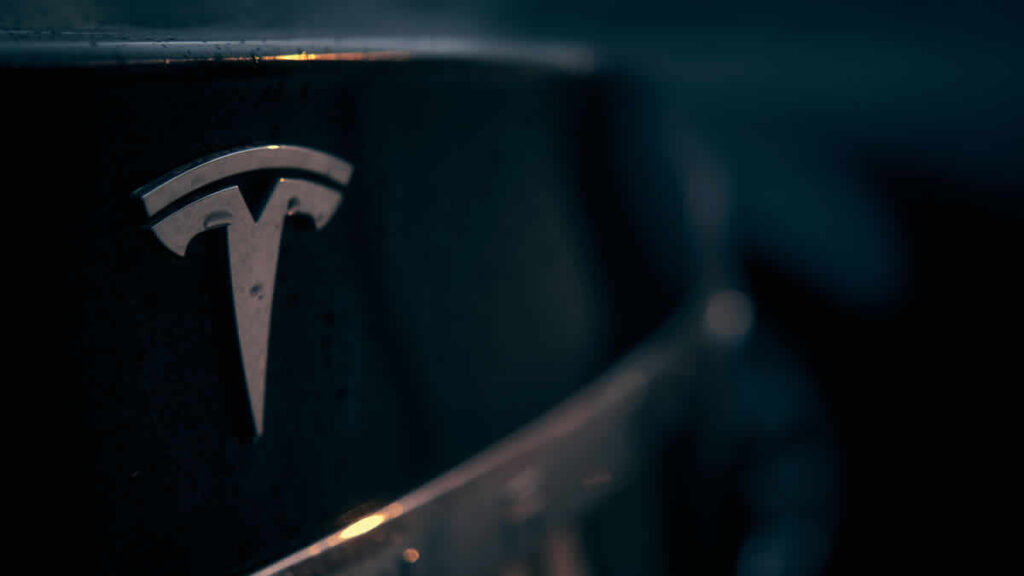 world news | tesla | 2024.