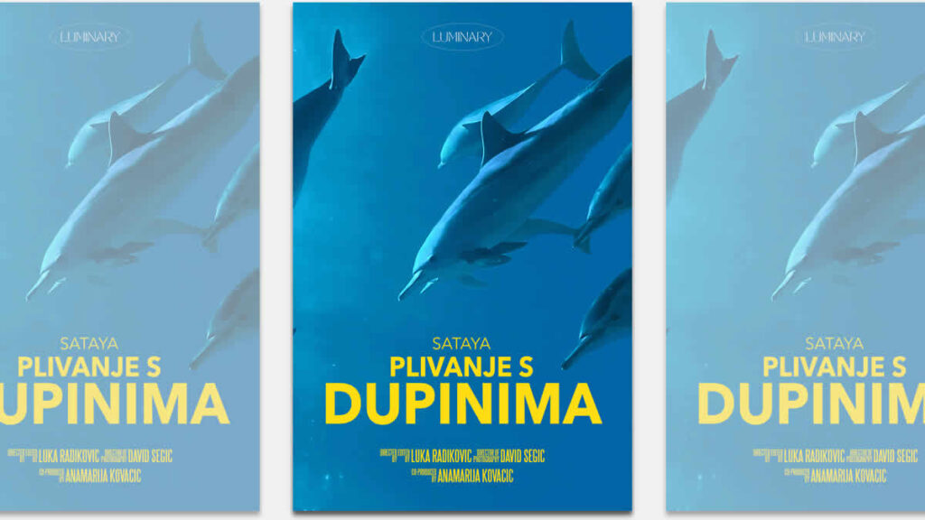 dokumentarni film "plivanje s dupinima" | 2024.