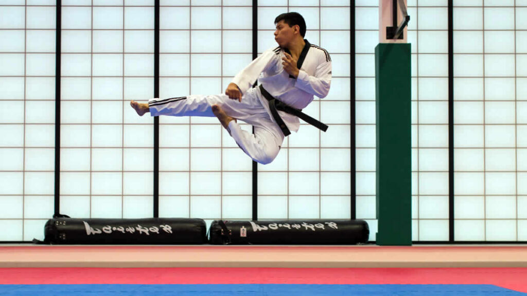 taekwondo | 2024.