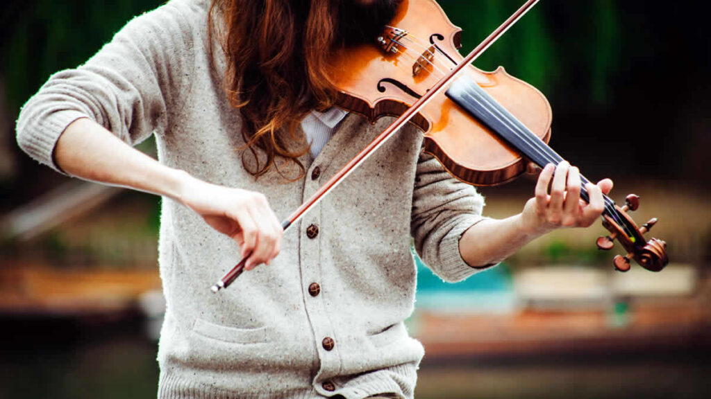 violina | 2024.