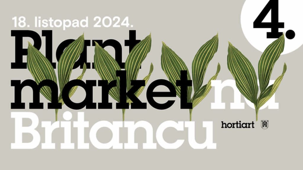 plant market | britanski trg zagreb | 18.10.2024.