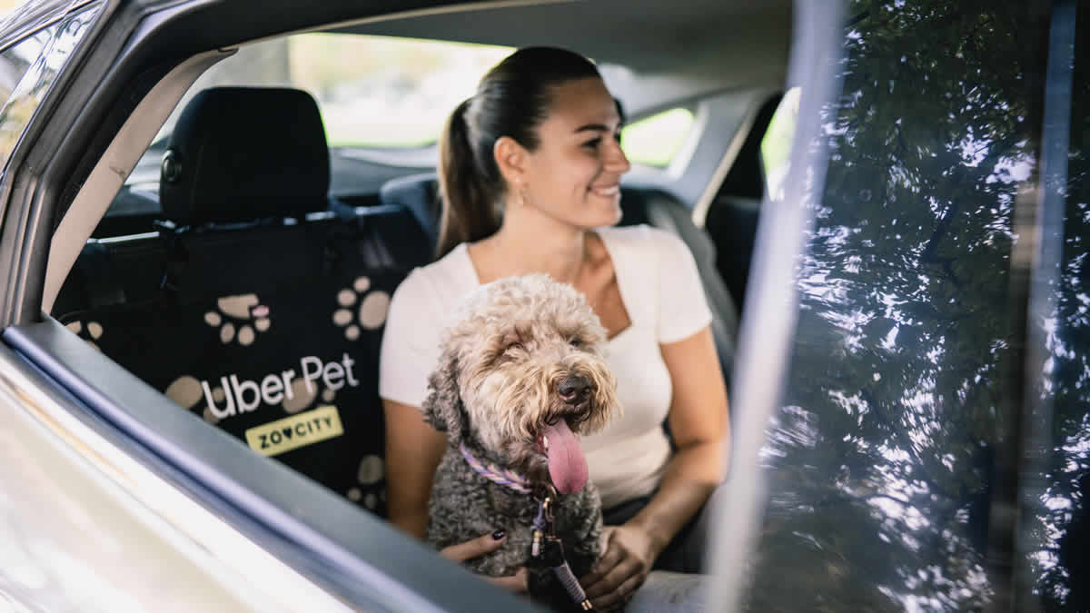 uber pet | 2024.