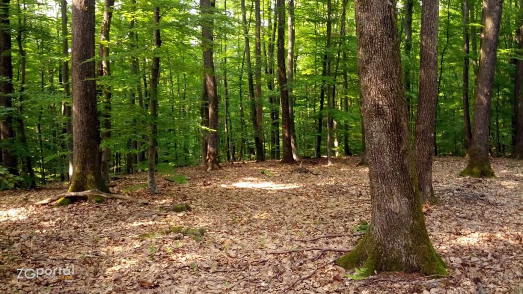vukomeričke gorice | 08.05.2016.