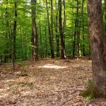 vukomeričke gorice | 08.05.2016.