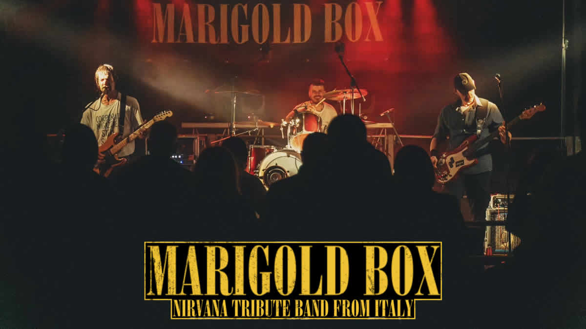 marigold box | nirvana tribute band from italy | 2025.