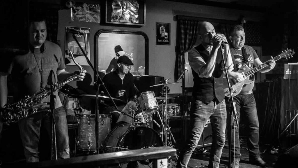 dino dvornik official tribute band | 2025.