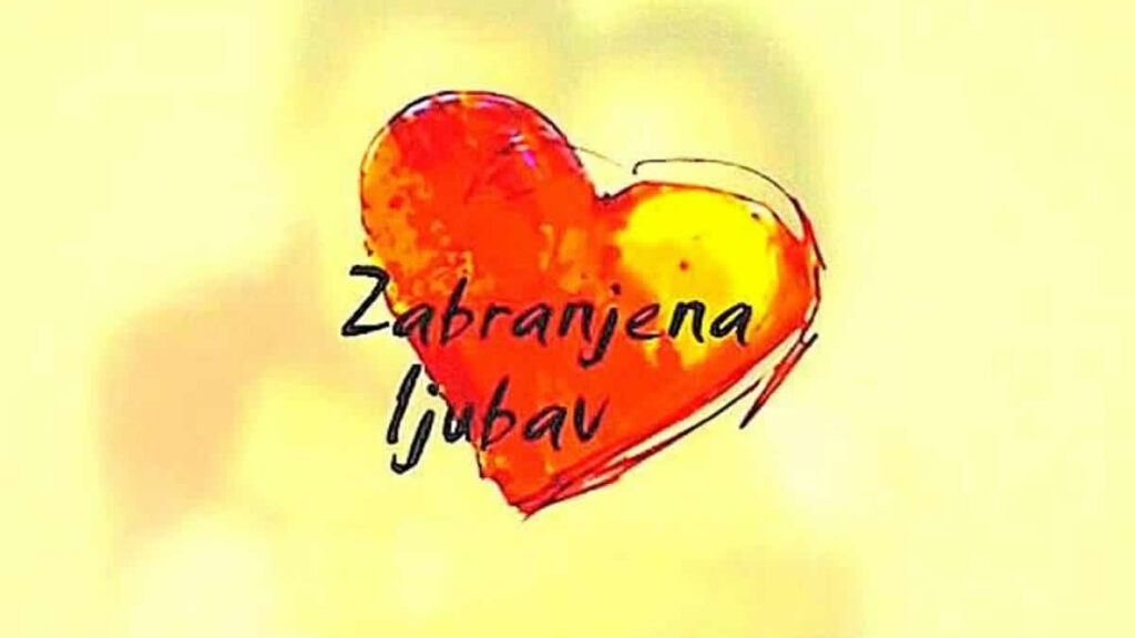 zabranjena ljubav | 2004. - 2008.