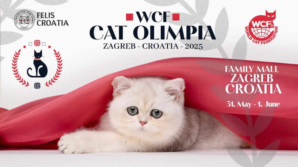 wcf cat olimpia 2025 | family mall zagreb