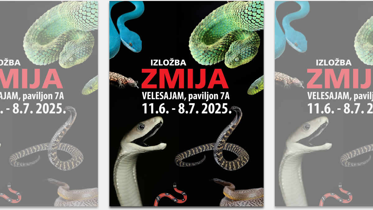 čudesan svijet zmija 2025