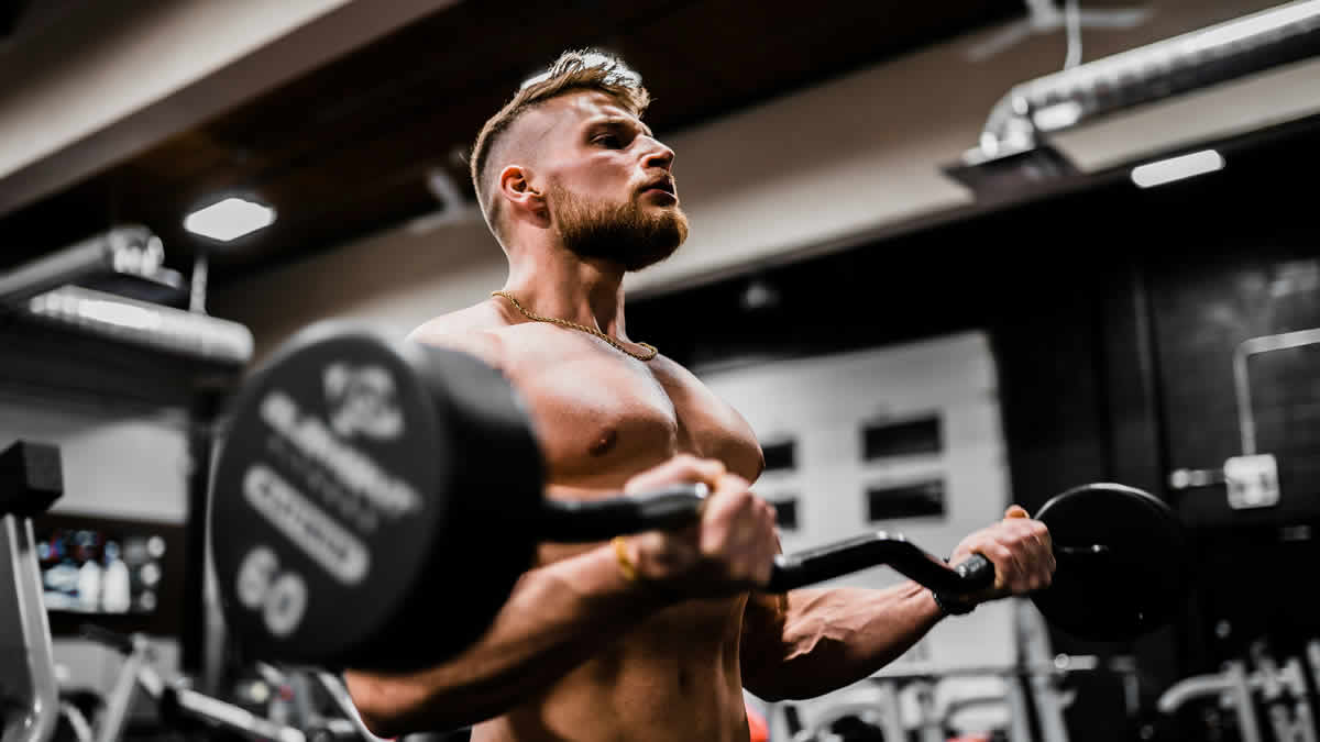 bodybuilding | 2025.