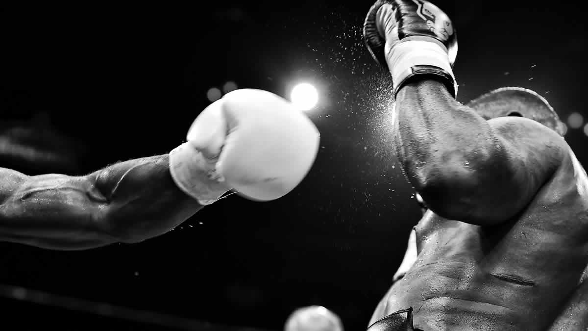 boxing | 2025.