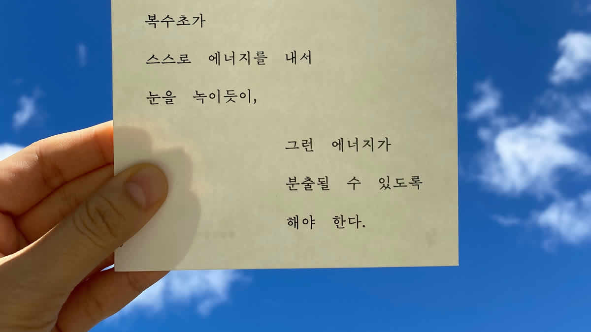 haiku | 2025.