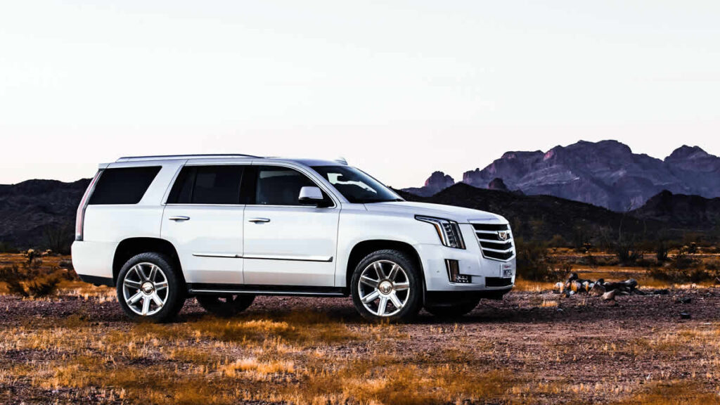 cadillac escalade pearl white | 2025.