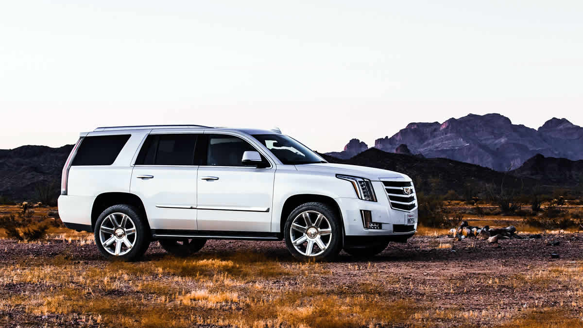 cadillac escalade pearl white | 2025.