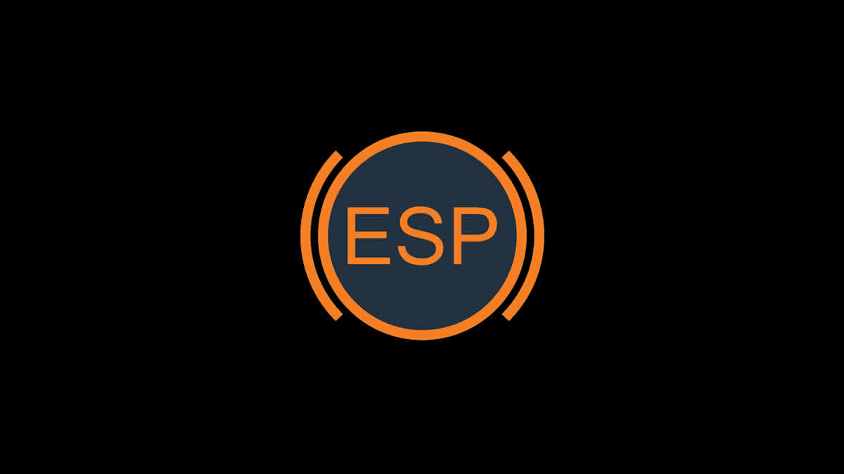 esp | electronic stability program | 2025.