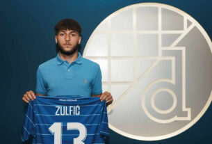 karlo zulfiĆ | gnk dinamo zagreb | 2025.