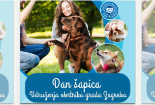 dan šapica 2025