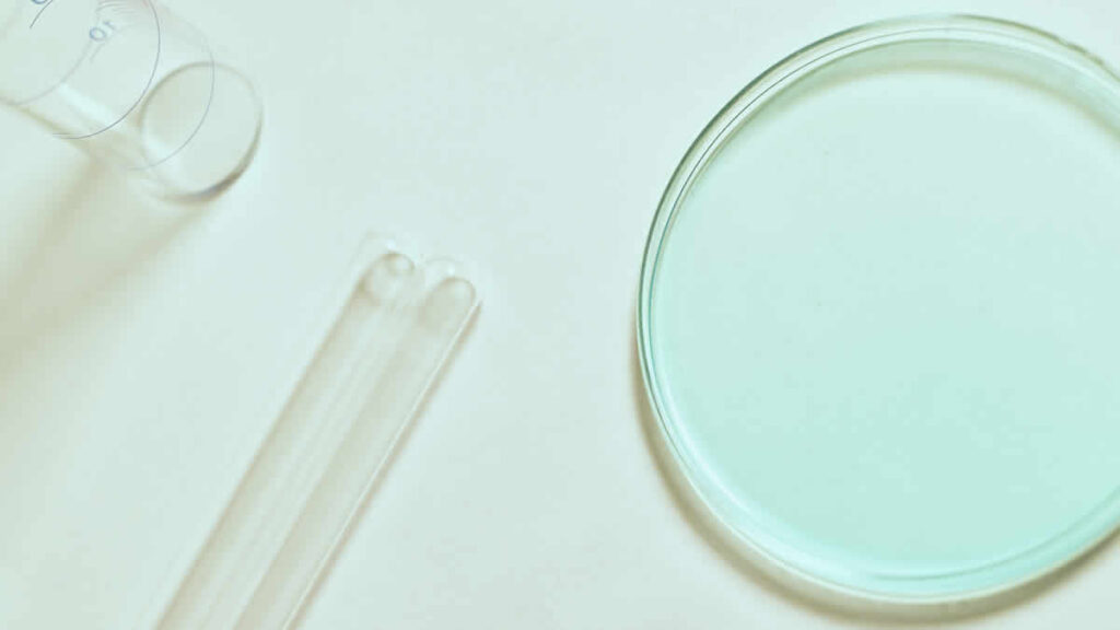 petrijeva zdjelica | petri dish | 2025.