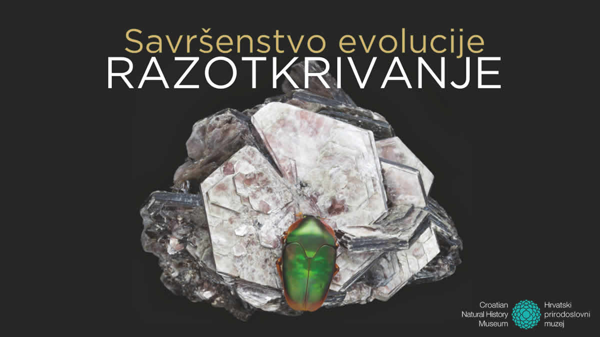 savršenstvo evolucije - razotkrivanje | hrvatski prirodoslovni muzej zagreb | 2025.