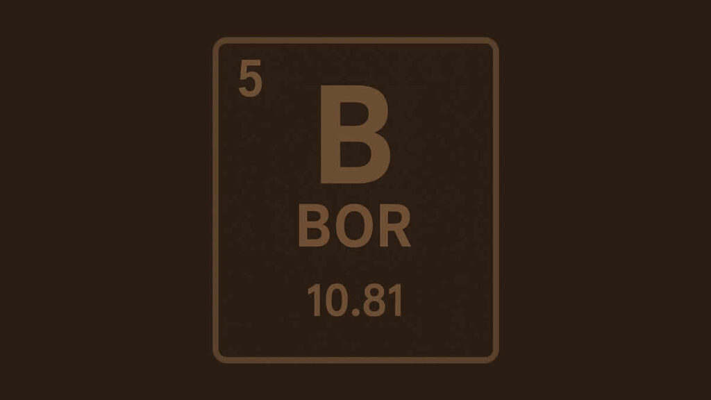 bor | boron | 2025.