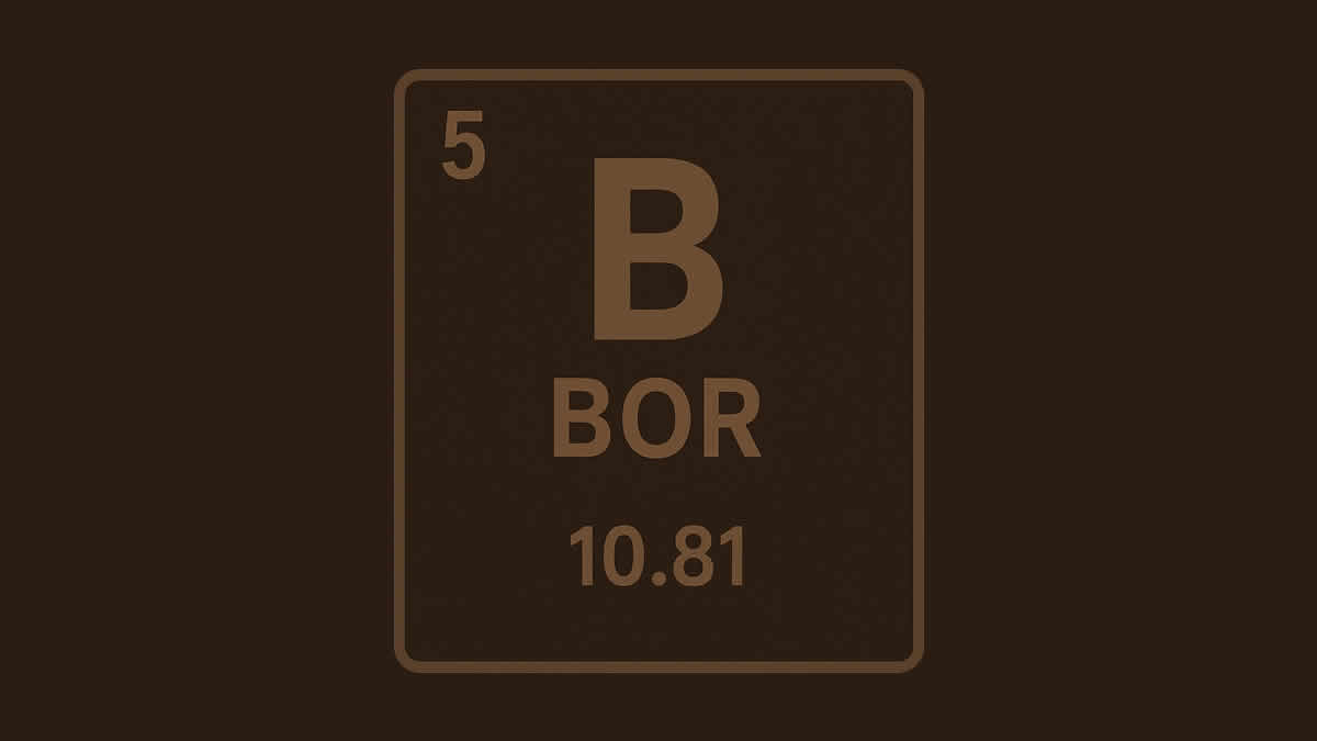 bor | boron | 2025.
