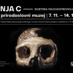 izložba "lubanja c - svjetska paleoantropološka baština" | hrvatski prirodoslovni muzej | 2025.
