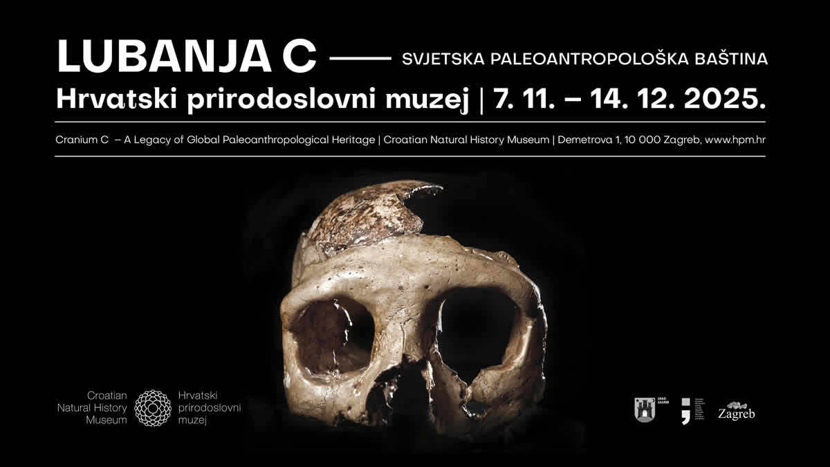 izložba "lubanja c - svjetska paleoantropološka baština" | hrvatski prirodoslovni muzej | 2025.