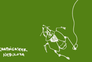 smrdljivi martini - rhaphigaster nebuloza | 2025.