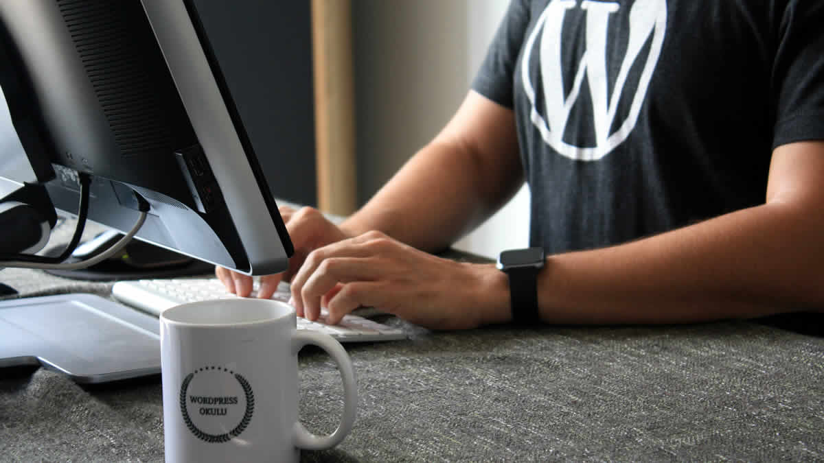 wordpress backup | 2025.