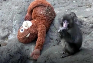 punch | makaki | 2026.