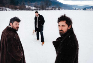 seine - plagijat | 2026.