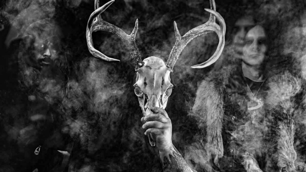 wolves in the throne room | 2026.