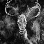 wolves in the throne room | 2026.