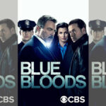 plava krv | blue bloods | 2010. - 2024.