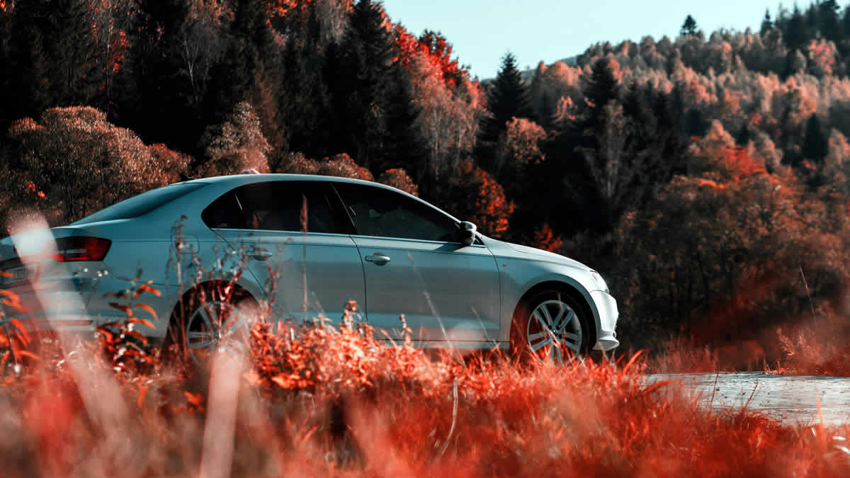 volkswagen jetta | 2025.